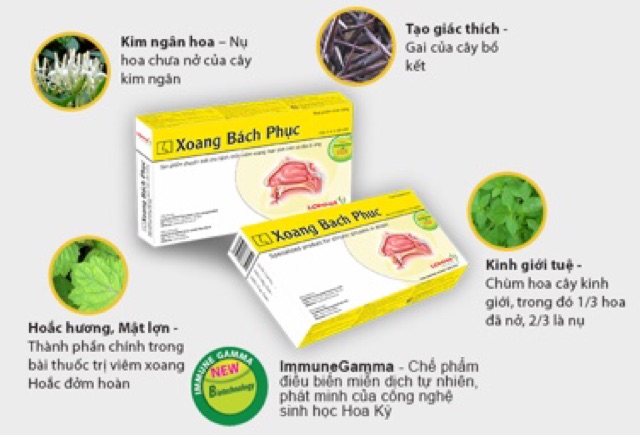 Xoang Bách Phục - giảm dị ứng, bớt viêm xoang