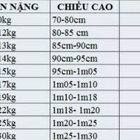 Set áo dài cách tân,  váy.