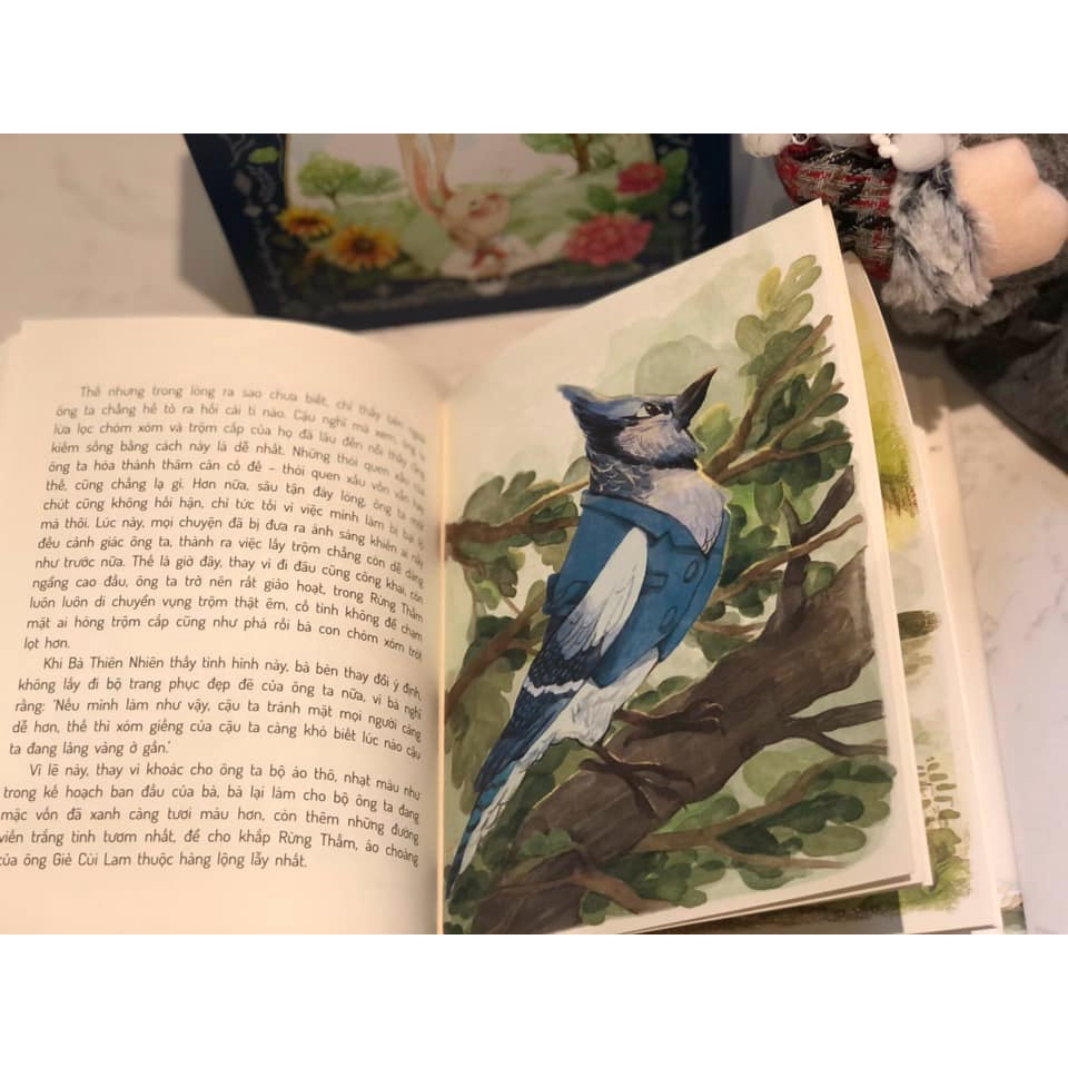Sách - Những chuyện kể của Thorton Burgess - Thornton W. Burgess- boxet 3 cuốn- Bình Book