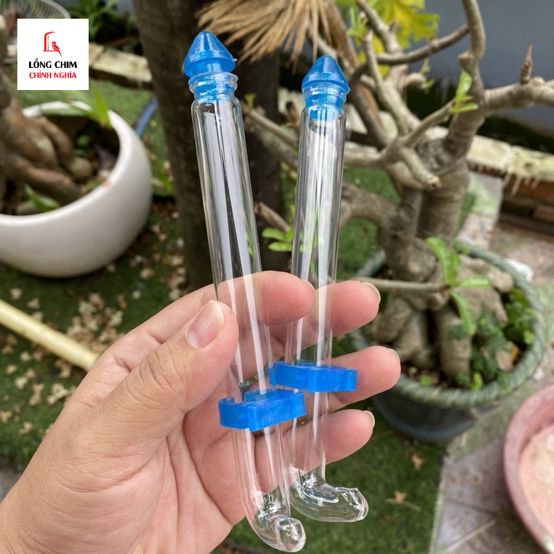 Ống nước thuỷ tinh chào mào 15cm - Phụ kiện lồng chim