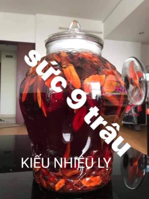 KIẾU NHIÊU LỴ- SỨC 9 TRÂU 1KG yếu sinh lí