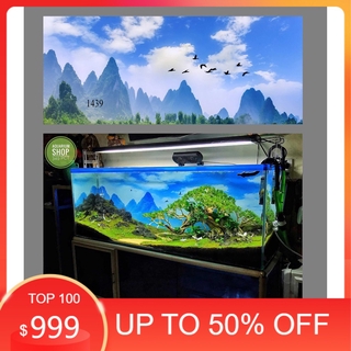 Tranh 3d dán bể cá trang trí bể cá nhiều kích thướt chọn lựa