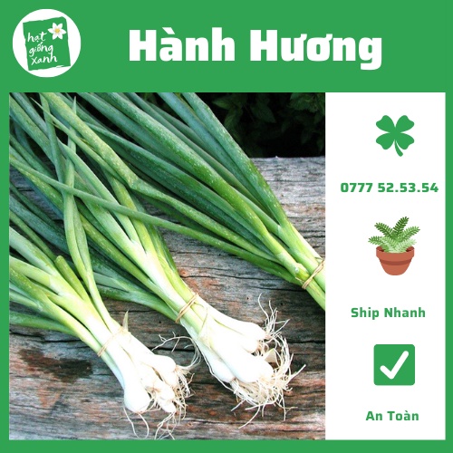 Hành lá gốc đỏ ( 2g)