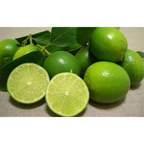 Bột chanh tươi - Bột chanh cô đặc từ trái chanh tươi - túi 80g