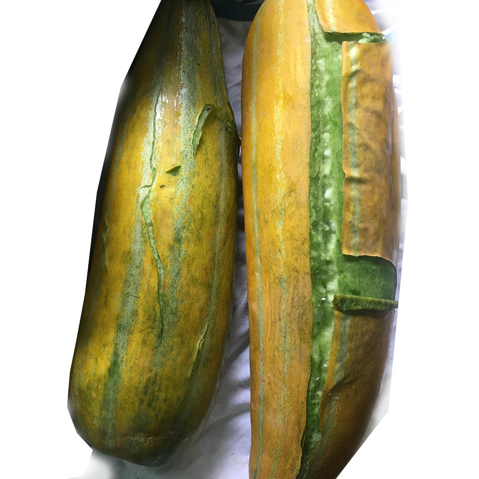 Giống Dưa Gang Sáp Dẻo Năng Suất Cao