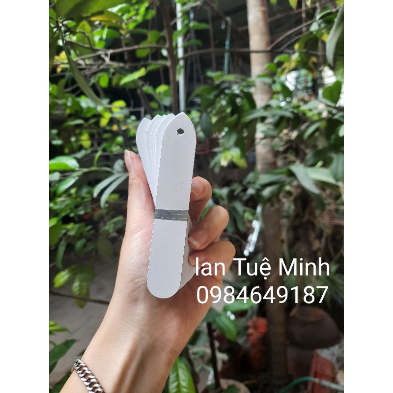 Set 20 thẻ tên dạng treo đủ 5 màu trong 1 set - Ghi tên cây, phong lan, đồ vật