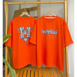 Áo thun Tee Basic V6 Heyyou - Áo thun cotton dầy dặn - ( V18 )