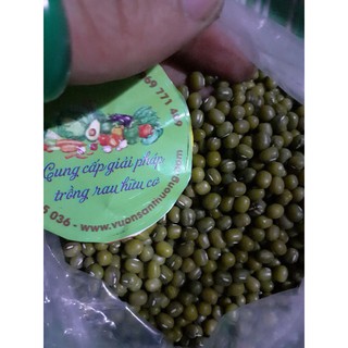 1 kg hạt đậu xanh trồng giá dễ làm
