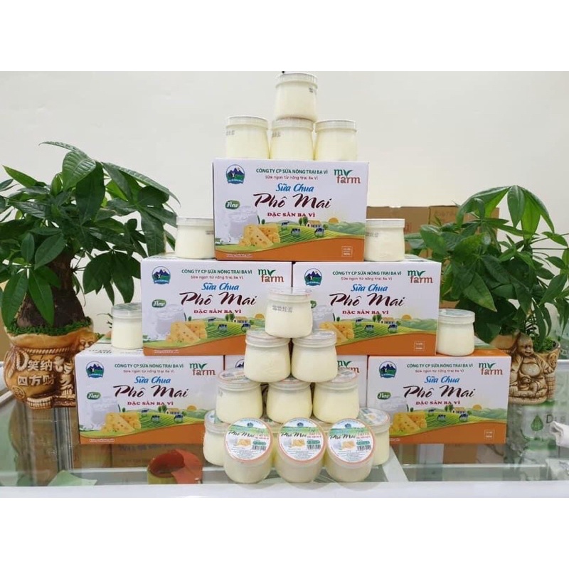 SỮA CHUA PHÔ MAI MYFARM