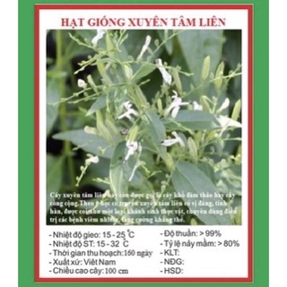 Hạt giống xuyên tâm liên - gói 50 hạt