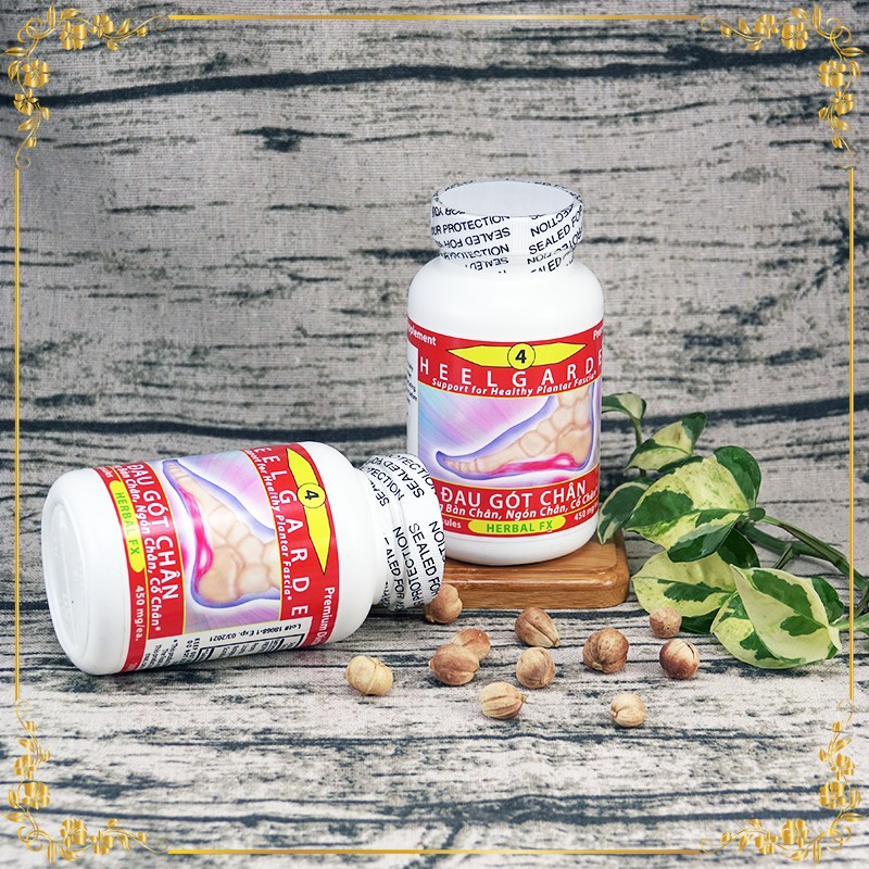 Dược thảo Toàn Chân chai số 4 - Hỗ trợ điều trị Đau Gót Chân và Bàn Chân