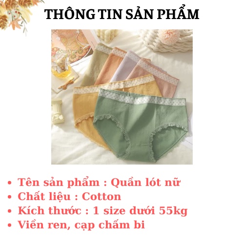 Quần Lót Nữ - Quần Lót Cotton Lưng Chấm Bi Kháng Khuẩn Viền Ren AMY BRA LQ13
