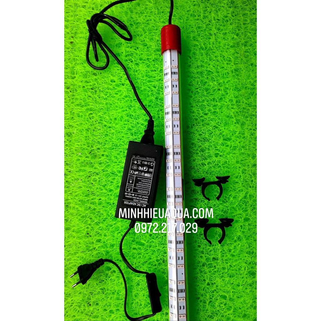 Đèn T10, Đèn Led Tanning Huyết Long Coco T10 1m2, 1m5, 1m8 màu đỏ 4 hàng led chữ V tanning cho huyết long