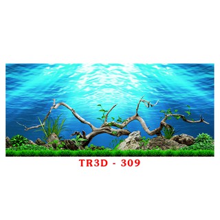 Tranh 3d bể cá mã Tr3D-309 kt ( 60,80,90,100,120,150,160 )