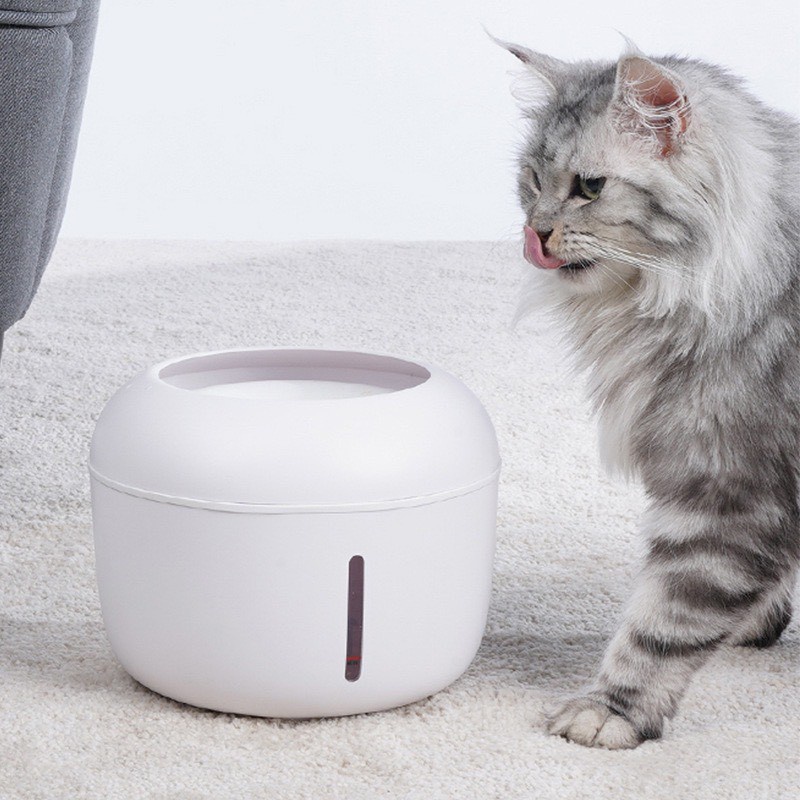 Máy lọc nước cho chó mèo Pakeway series bi series tự động 2,5L, đài phun nước cho cún mèo thông minh cho Mèo