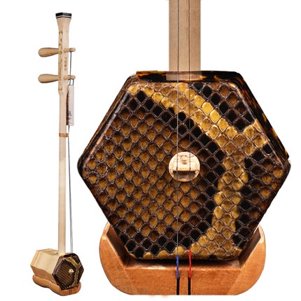 Đàn Nhị Đặc Sắc Mẫu Mã Đẹp Chuyên Nghiệp