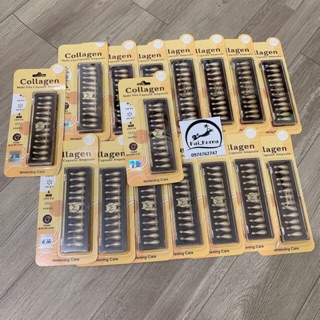 Set 12 viên Collagen Tươi Multi Vita Capsule Ampoule