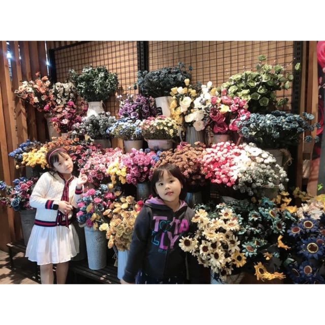 nemchashop