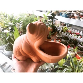Chậu đất nung hình chó mặt xệ