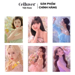 [GIFT] Cards Idol Kpop Thành Viên Nhóm Nhạc Stayc