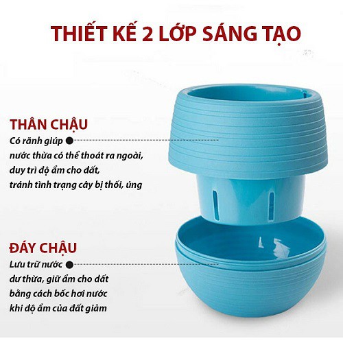 Chậu Nhựa Mini Tự Dưỡng Trồng Cây Để Bàn Thông Minh Thân Rời Trữ Nước 6,5cm x 7cm