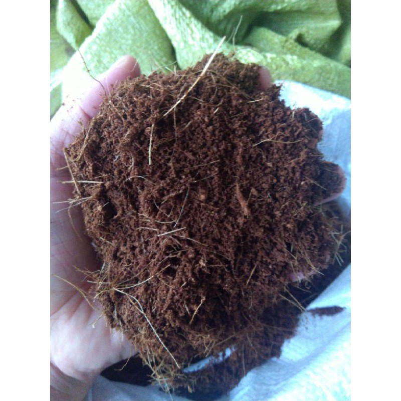1kg mụn dừa xay trồng cây trộn đất