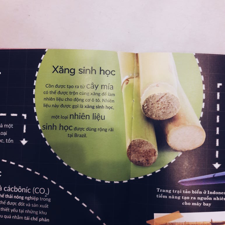 Sách - Bộ Khoa học khắp quanh ta (06 cuốn)