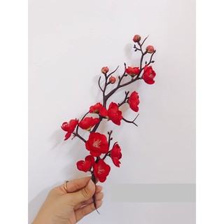 cành mai trang trí bánh kem