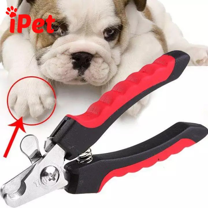 Kềm Cắt Móng Cho Chó Mèo Kèm Dũa - iPet Shop