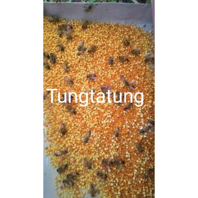 PHẤN HOA MẬT ONG TỰ NHIÊN [1kg]