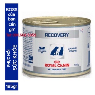 Pate Royal Canin Recovery phục hồi sức khoẻ cho chó mèo 195g