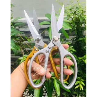 KÉO THÉP ĐA NĂNG