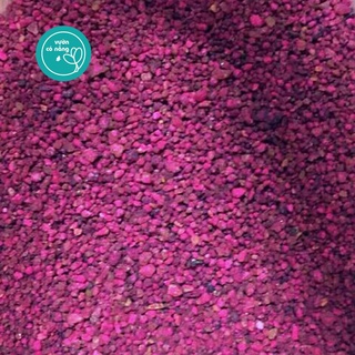 50g thuốc tím trị rệp Starkle-G | trị rệp sáp, tuyến trùng ở sen đá, xương rồng