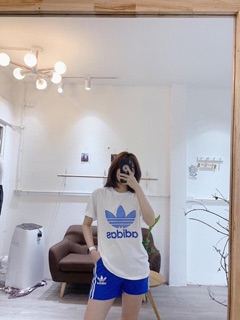 Bộ das: Qa261