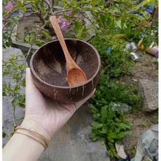 Bộ gáo dừa trộn kem (1 bát + 1 muỗng)