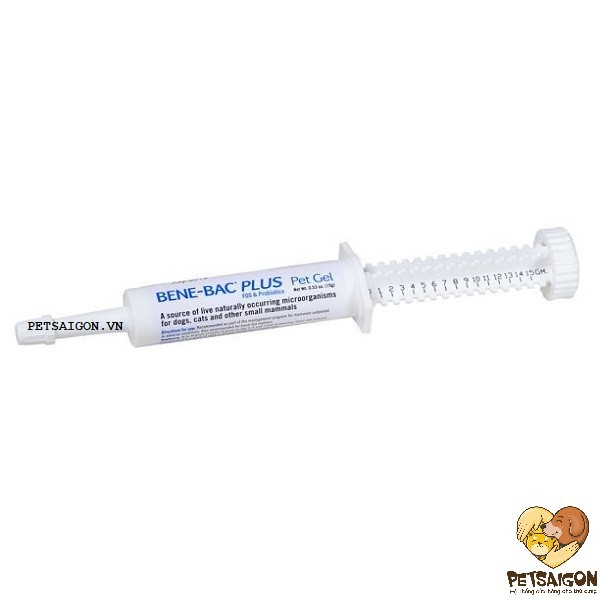 Men Tiêu Hóa Cho Chó Mèo Bene Bac Plus Ống 15gram