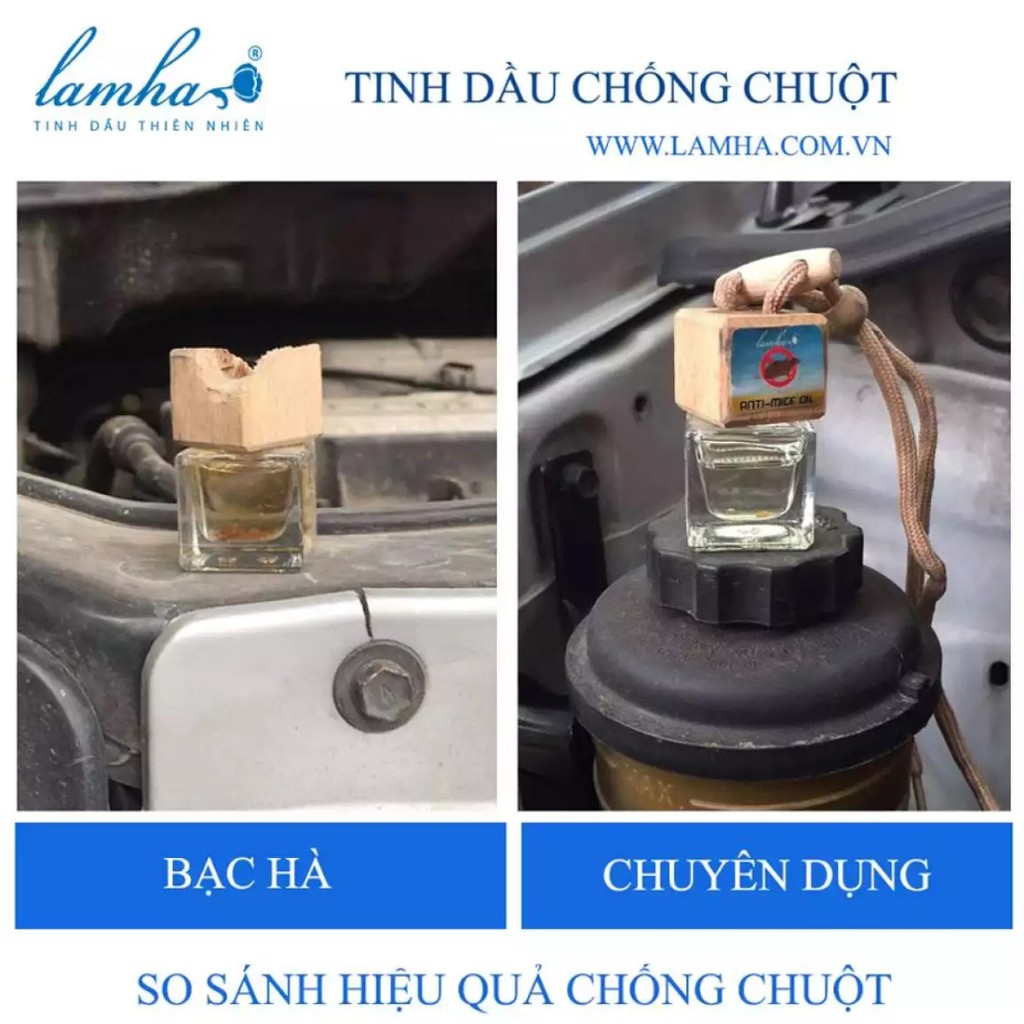 Tinh dầu chống chuột khoang máy ô tô - Lam Hà