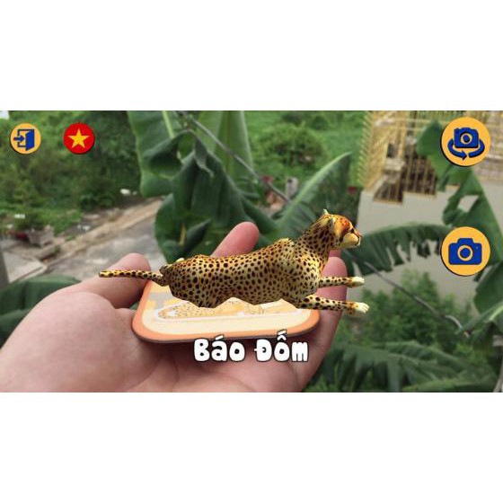 [ Gía siêu rẻ ] Hộp 60 thẻ animals 4D (thẻ thực tế ảo)
