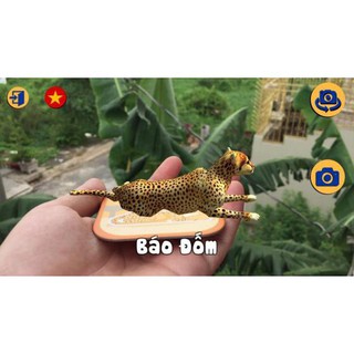 Hộp 60 thẻ animals 4D -Rẻ nhất