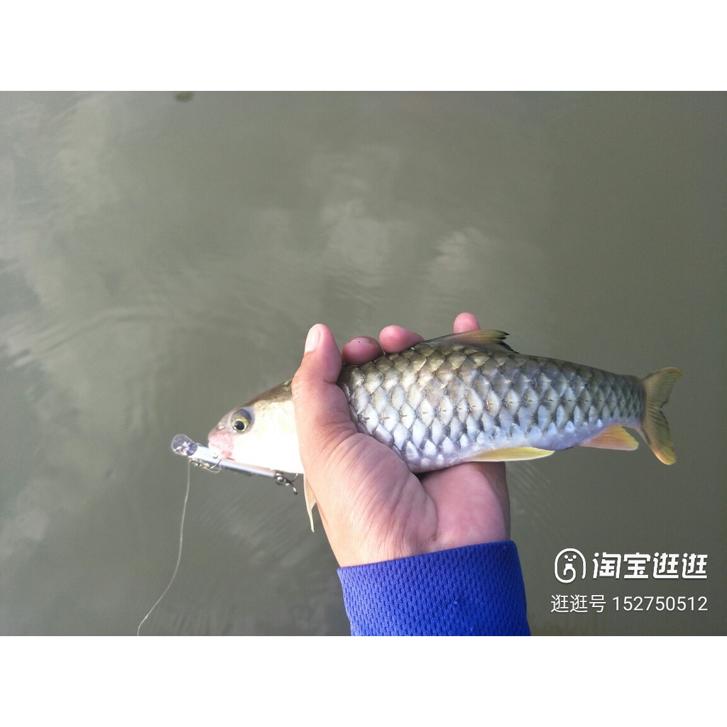 Mồi giả câu lure cá chày suối cá mương Mi 50SS minnow 5cm/5gr