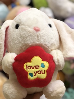Thỏ cute đáng yêu (ảnh thật)