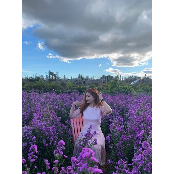 ĐẦM VOAN TƠ 2 TẦNG GUMAC