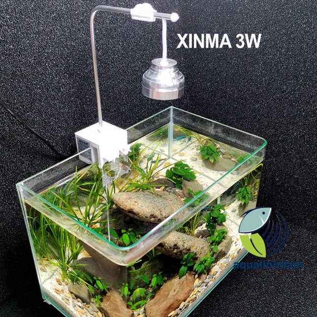 Led Kẹp Xinma 3W Ánh Sáng Trắng và RGB | Đèn LED Chuyên Dùng Cho Bể Thuỷ Sinh Mini