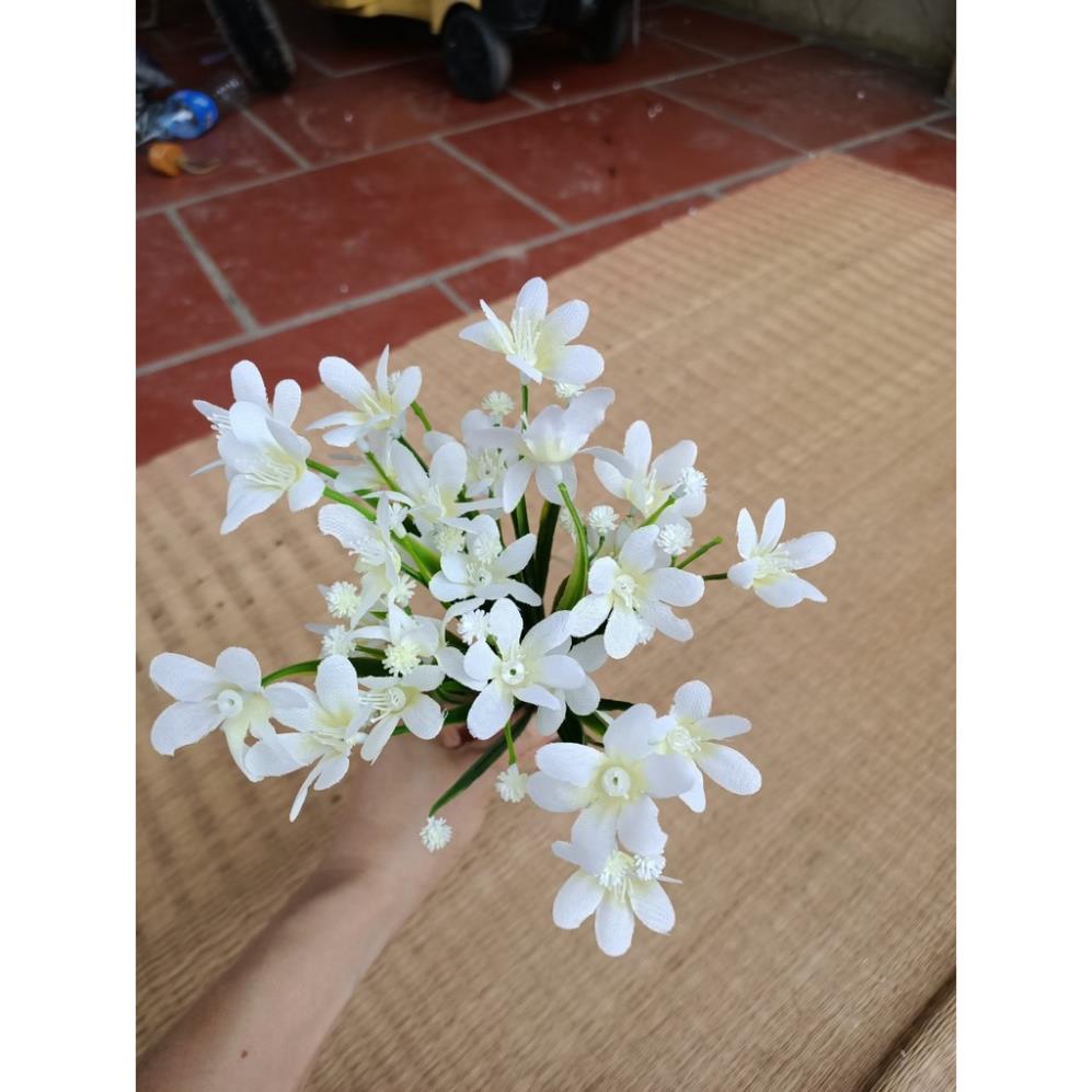 Cụm hoa thuỷ tiên điểm cực sang, giao hàng siêu nhanh