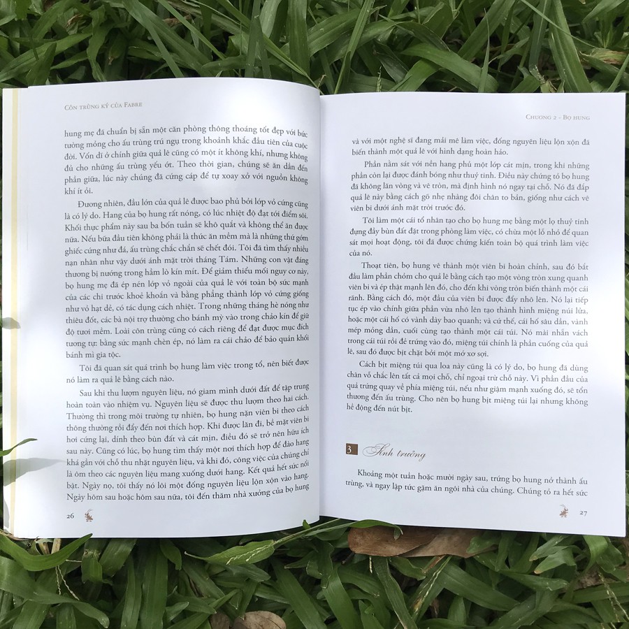 Sách - Côn Trùng Ký Của Fabre - Jean-Henri Fabre - Thanh Hà Books HCM