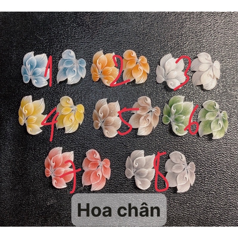 Hoa bột gắn chân