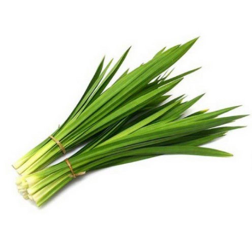 Hương lá dứa Thái Lan lọ 30ml