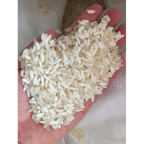 Nếp Nương Điện Biên đóng bao 5kg hàng loại 1