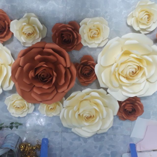 Combo hoa backdrop của Xuân