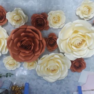 Combo hoa backdrop của Xuân